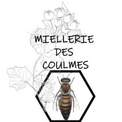Carte cadeau atelier "découverte des abeilles"