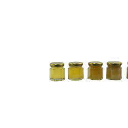 Miel - Mini pots miel bio 50G