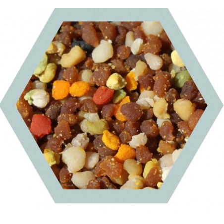 Pollen bio congelé (pot verre 100gr)