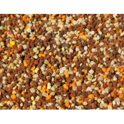 Pollen bio congelé (pot verre 100gr)