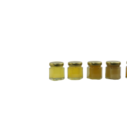 Mini pots miel bio 50G (box dégustations)