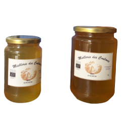 Miel d'acacia bio 500G