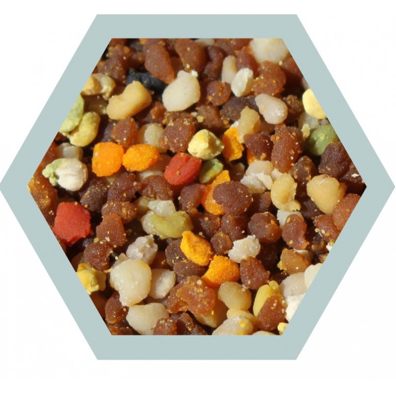 Pollen VRAC bio congelé (kg)