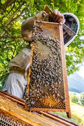 crédit photo Nacho Grez